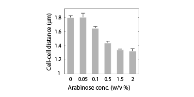 Open data for arabinose-inducible mutant